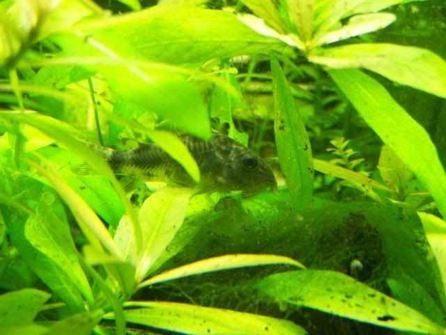 picture023.jpg