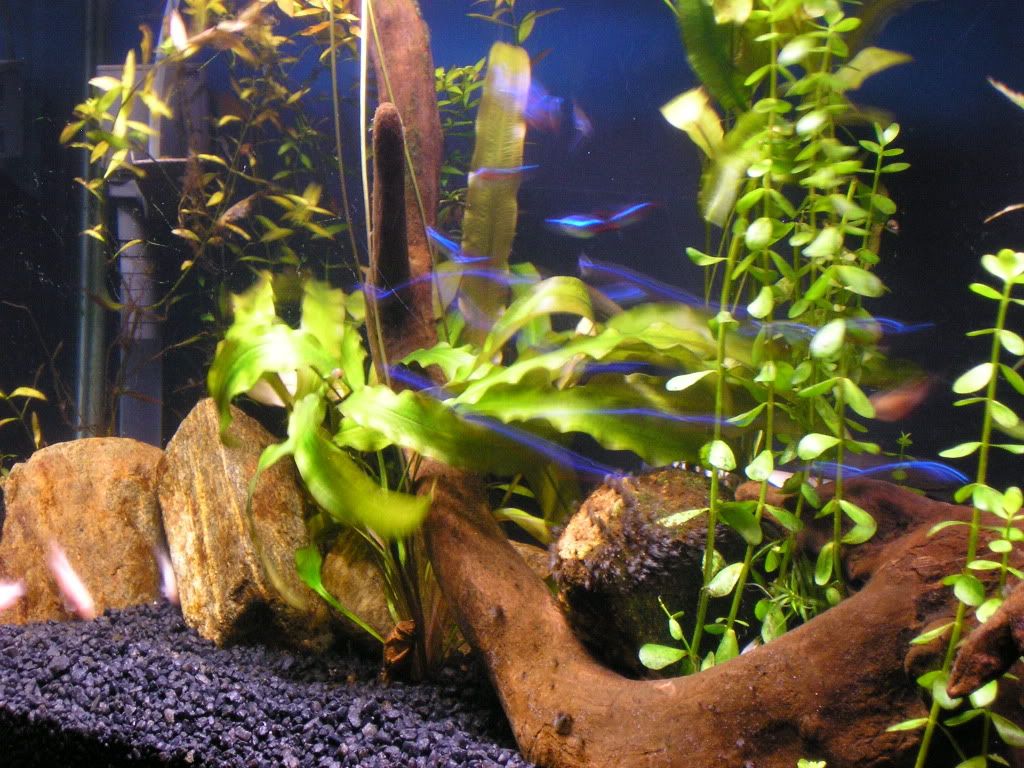 55g6-18-09L.jpg