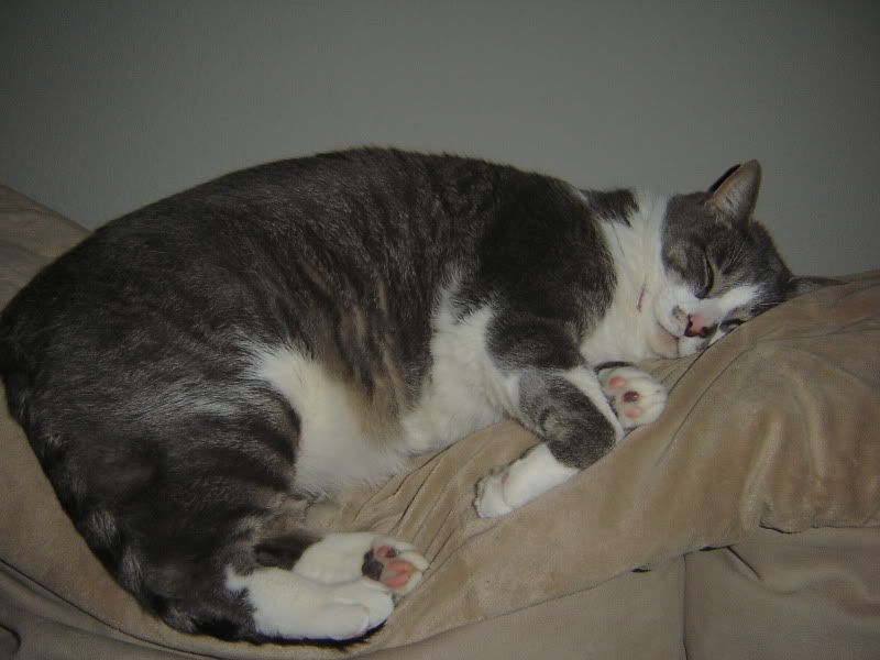DSC03485.jpg