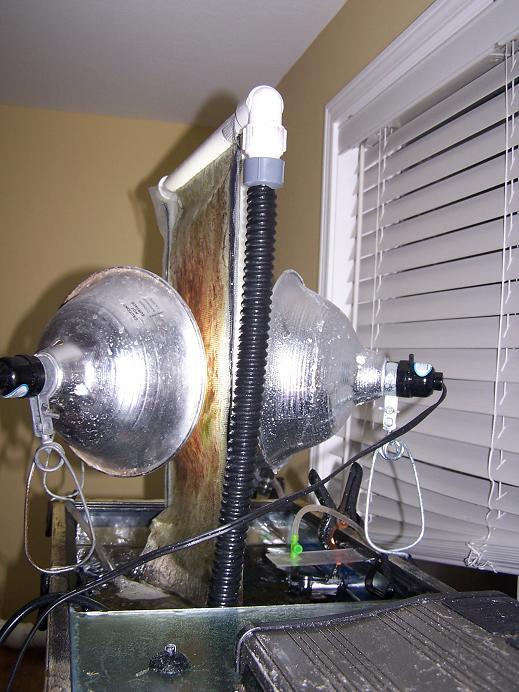 UserVargaSeaMonsterOnRS-RF-5.jpg