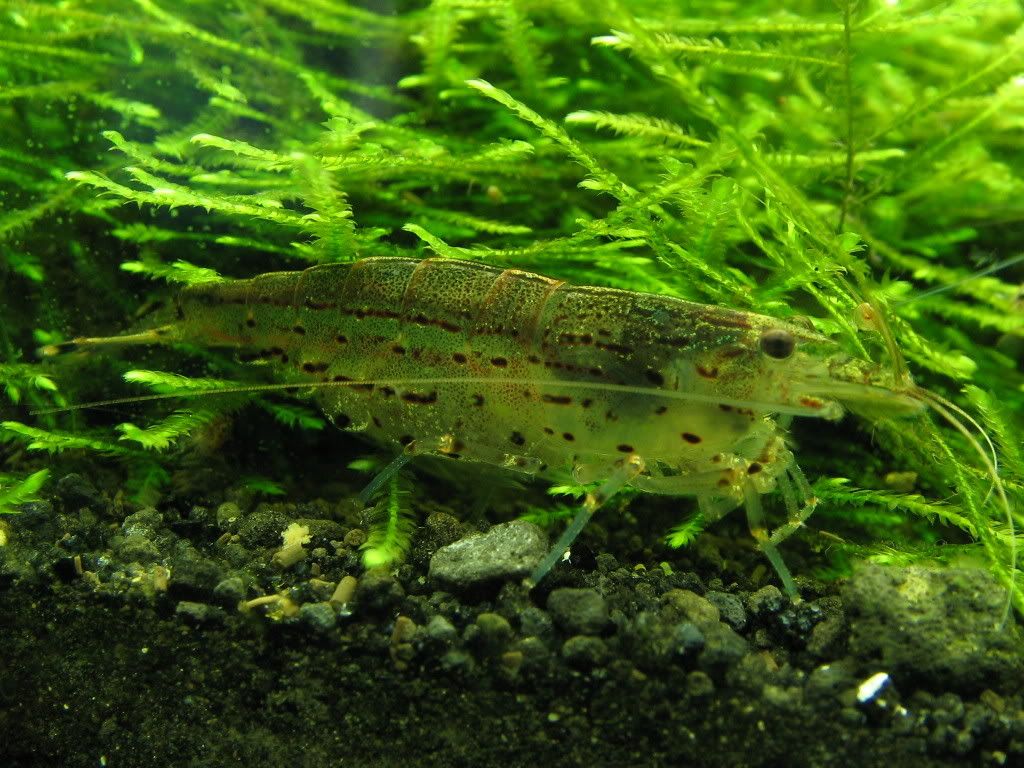 IMG_0021.jpg