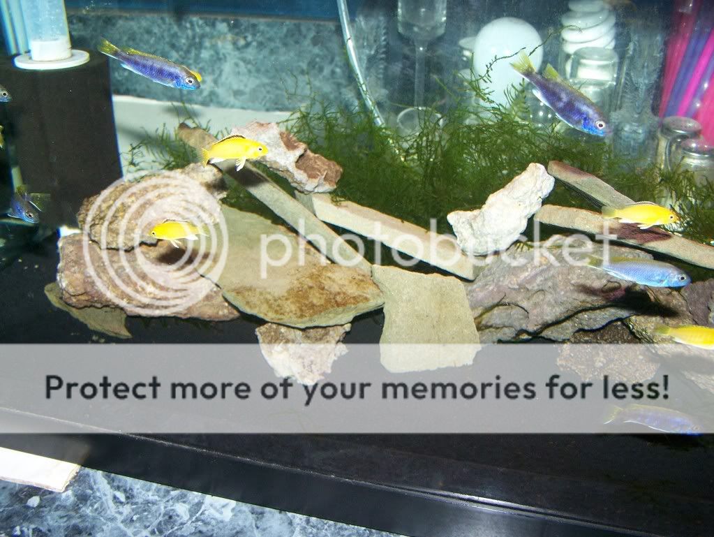 100_3385.jpg