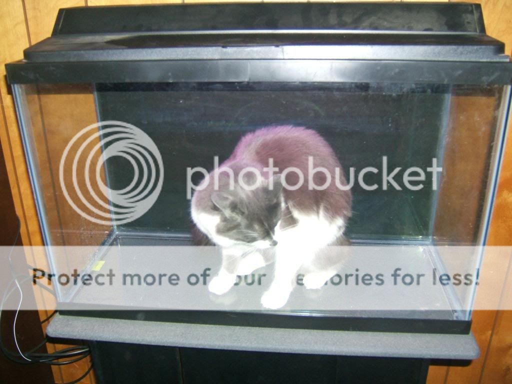 DSCF3048.jpg