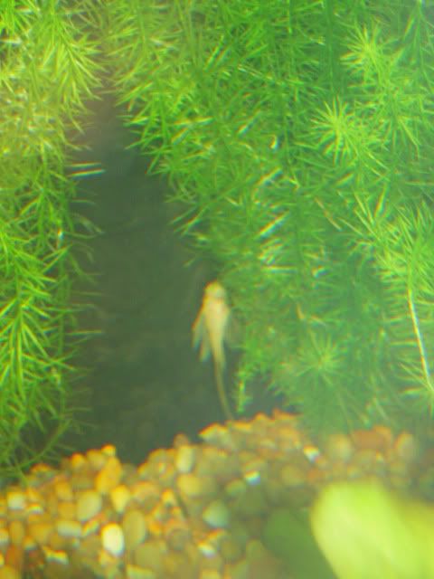 DSCN3132.jpg