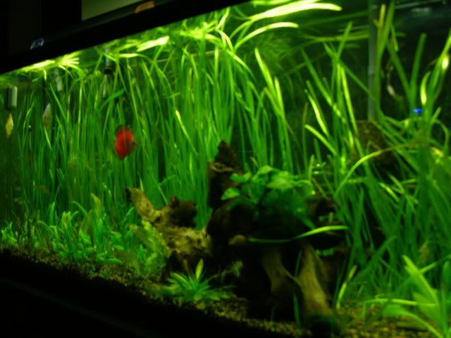 DSCN3481.jpg