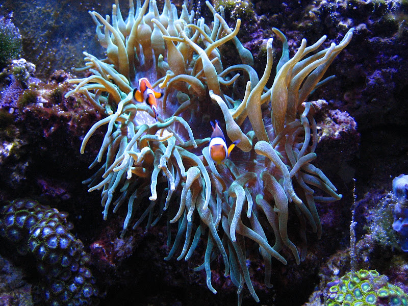 IMG_3221.jpg