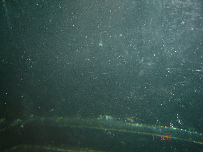 DSC02894.jpg