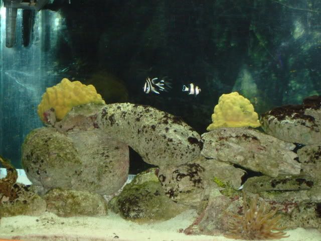 DSC00652.jpg