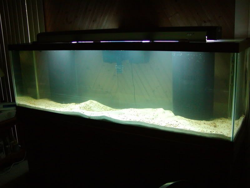 fishtank125013.jpg