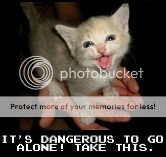 funny_cat_pictures_28.jpg