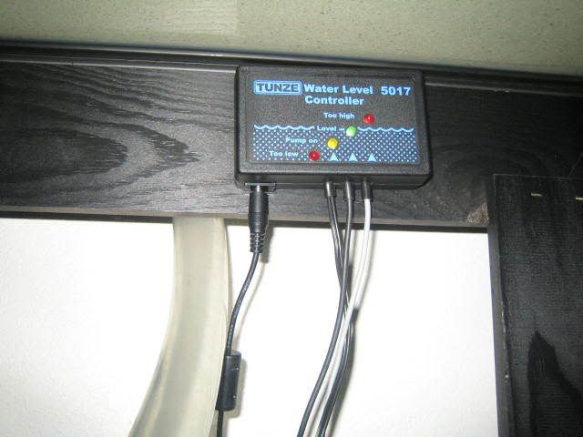 IMG_0821.jpg
