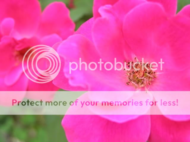 DSCN3995.jpg