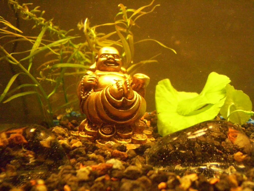 100_4760.jpg