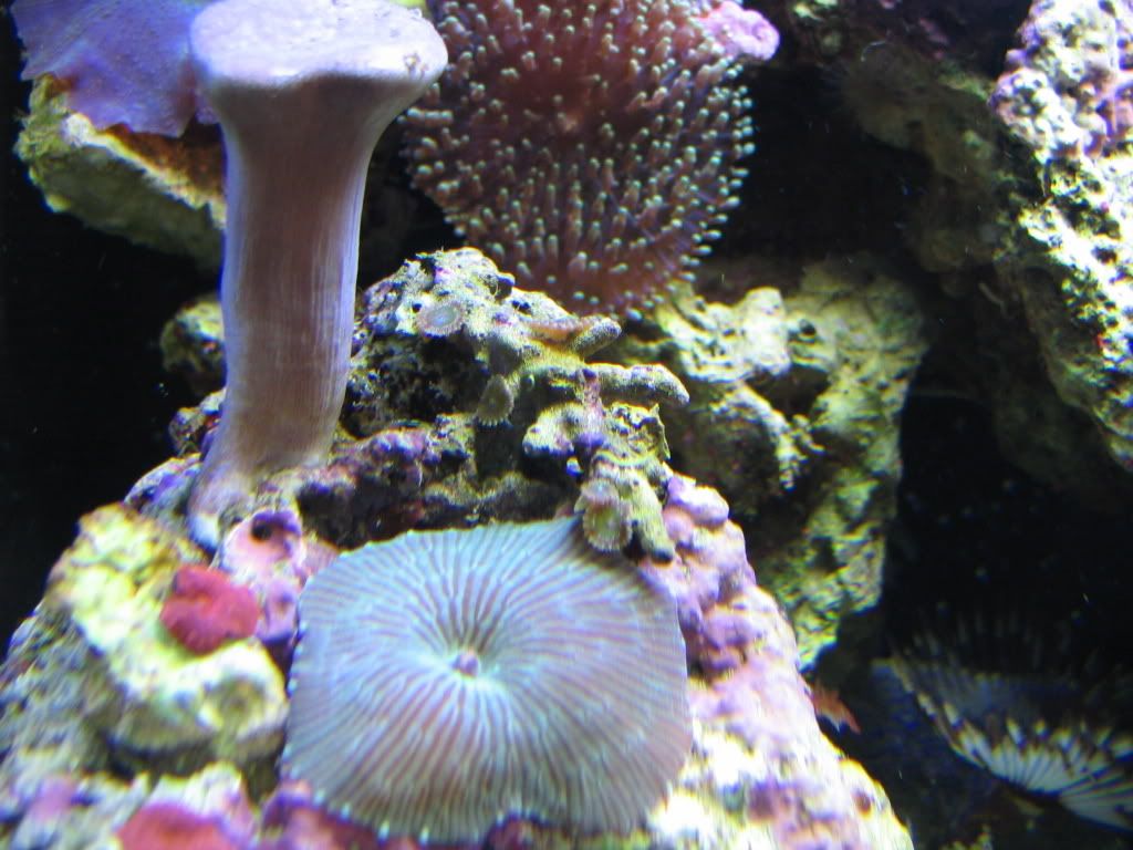 Ocean2263.jpg