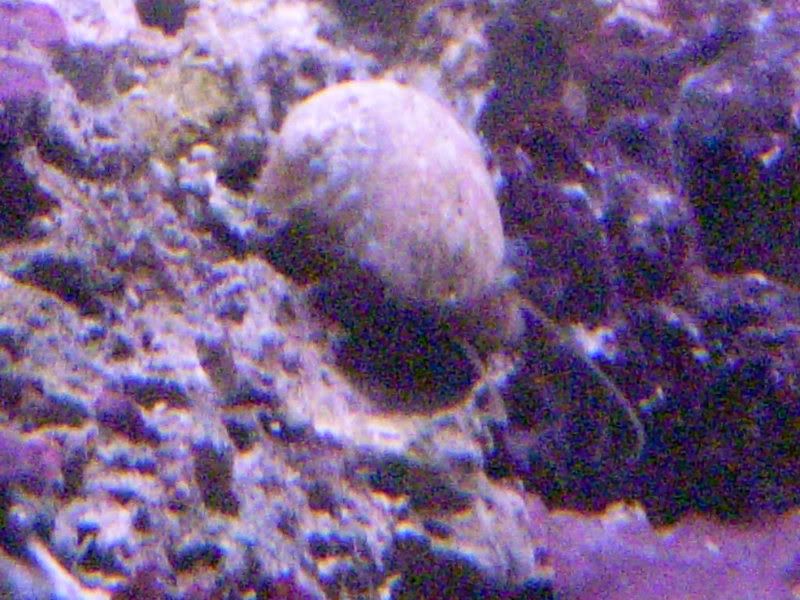 DSCN1662.jpg