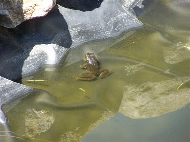 100_0641Small.jpg