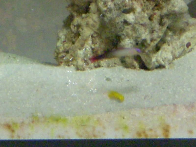 DSCN1659.jpg