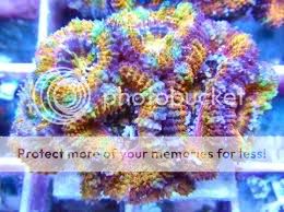 images-4.jpg