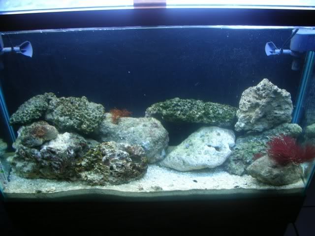 45gal27aug07.jpg