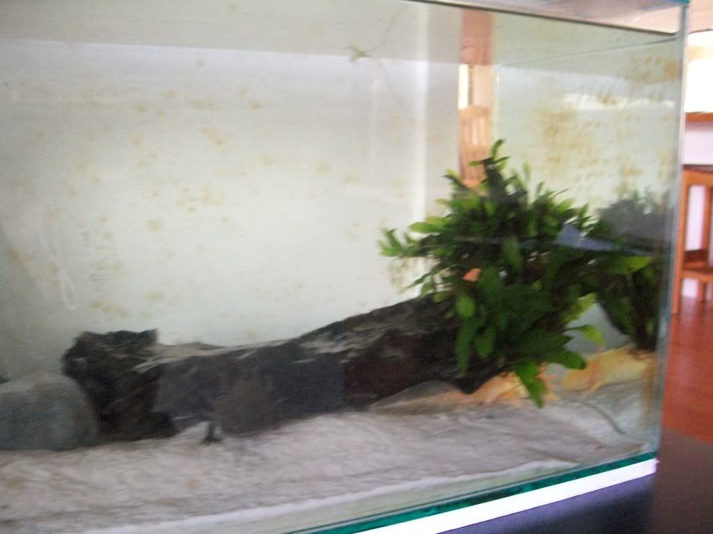 100_0827.jpg
