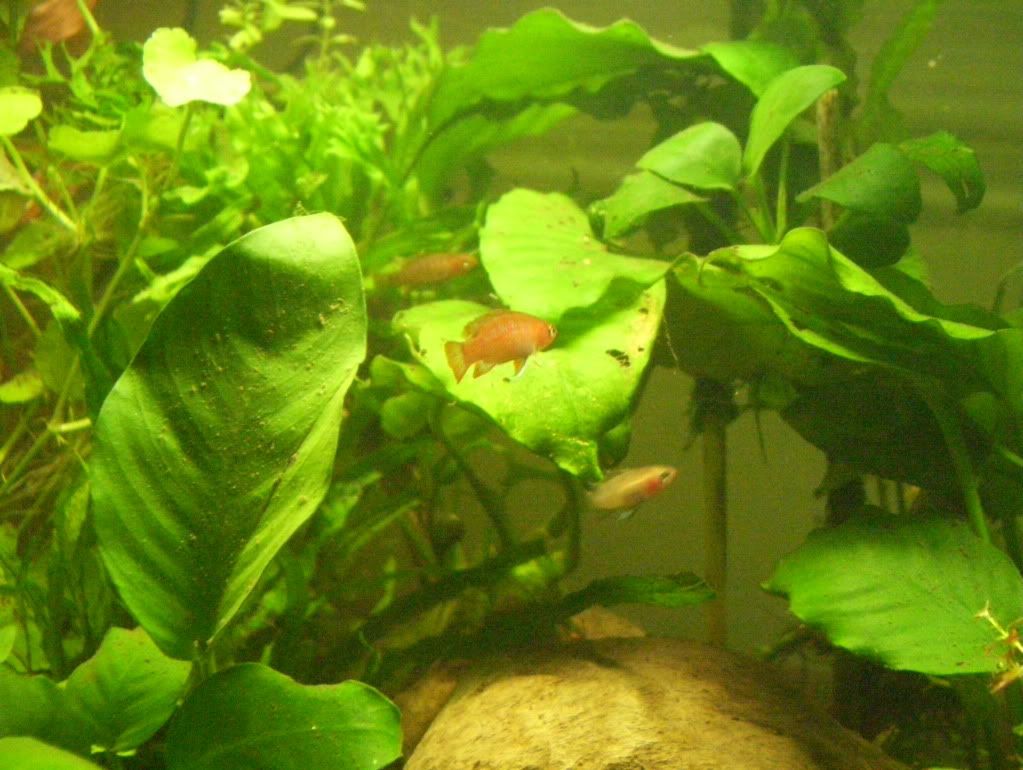 100_4647.jpg