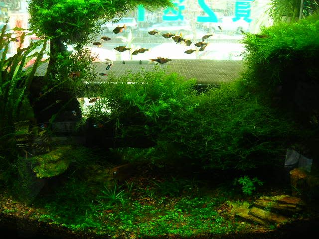 DSCN7793.jpg