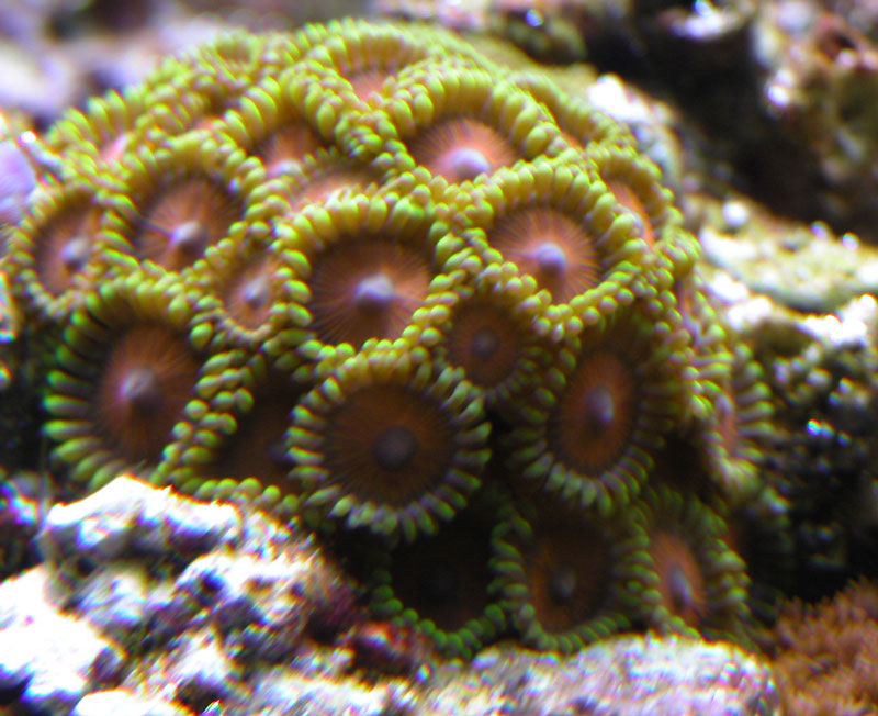 2855071838_54361c0186_o.jpg