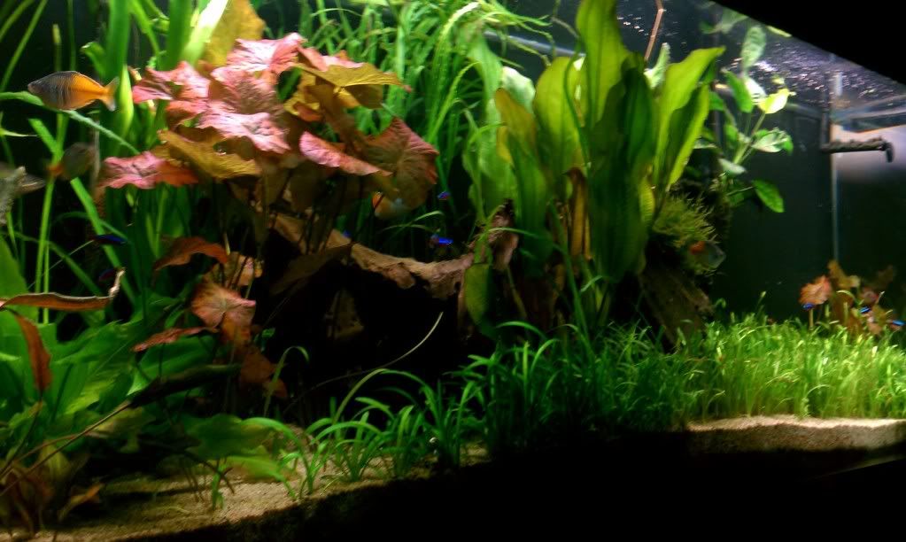 IMAG0874.jpg