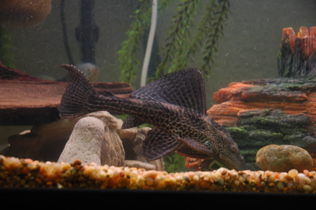 DSC_0615.jpg