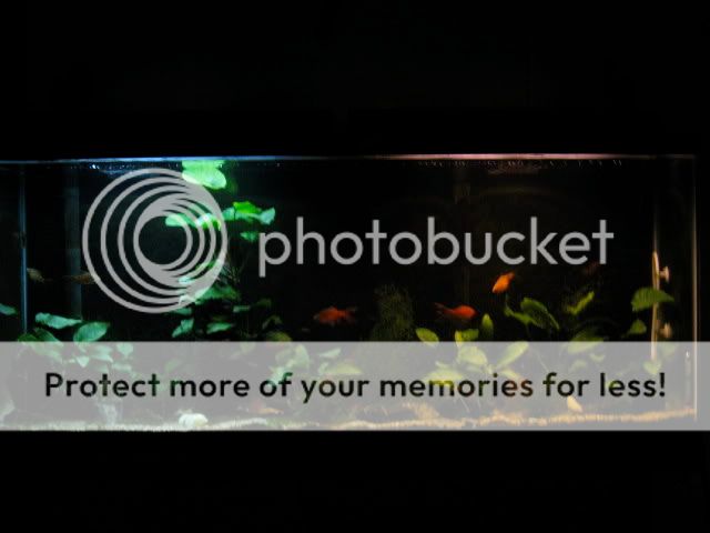 09.jpg