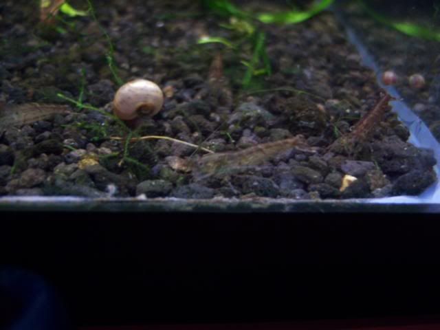 garupdate015.jpg