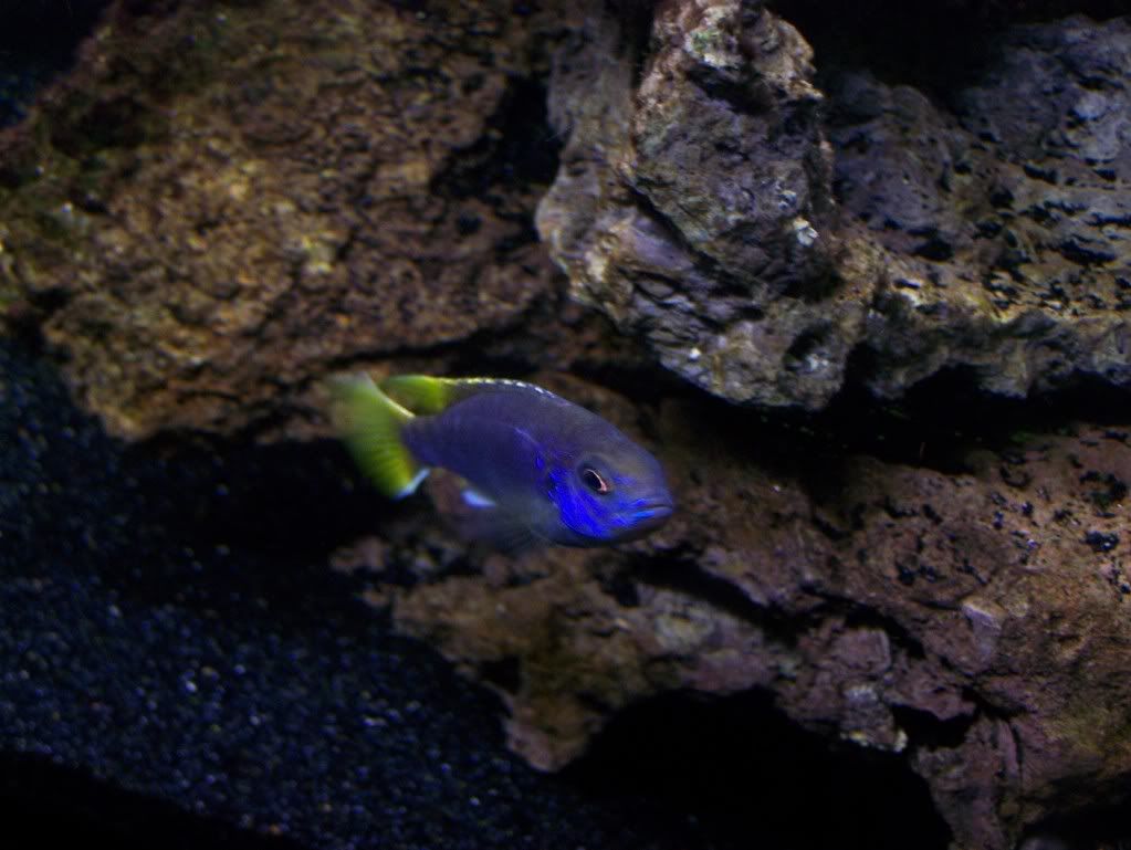 100_4025.jpg
