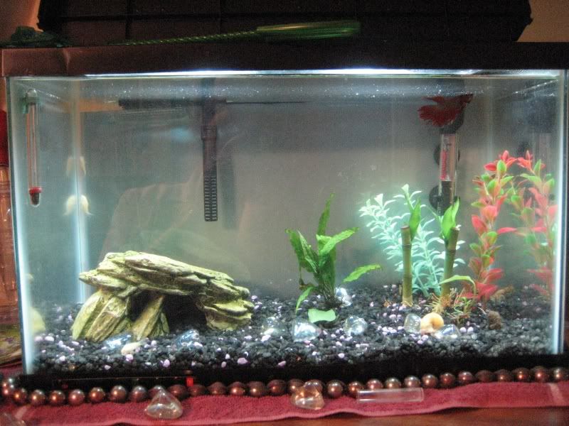 Tank3.jpg