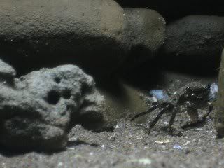 c5_320x240.jpg