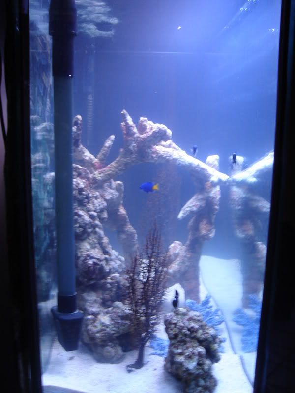 Aqua021.jpg