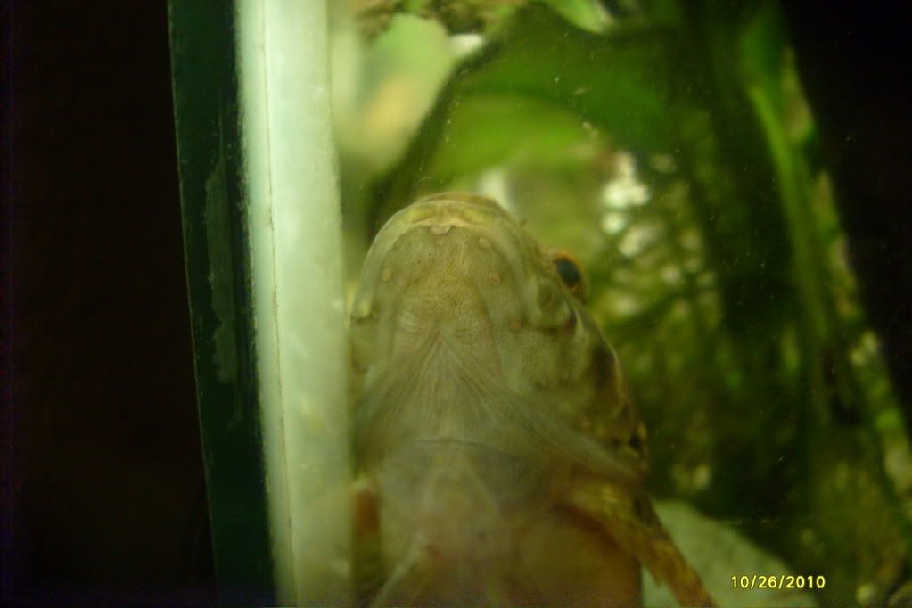 S7306674.jpg