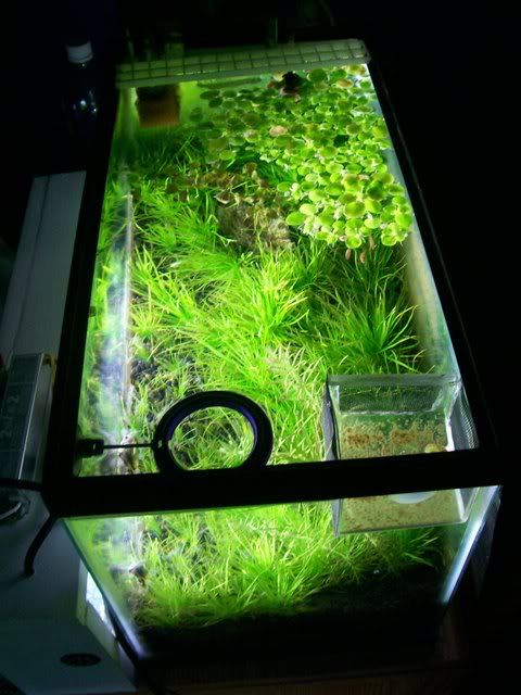 100_3252.jpg