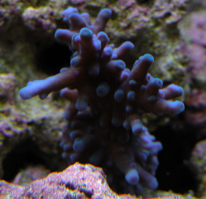 3131619183_41b9744d36_o.jpg