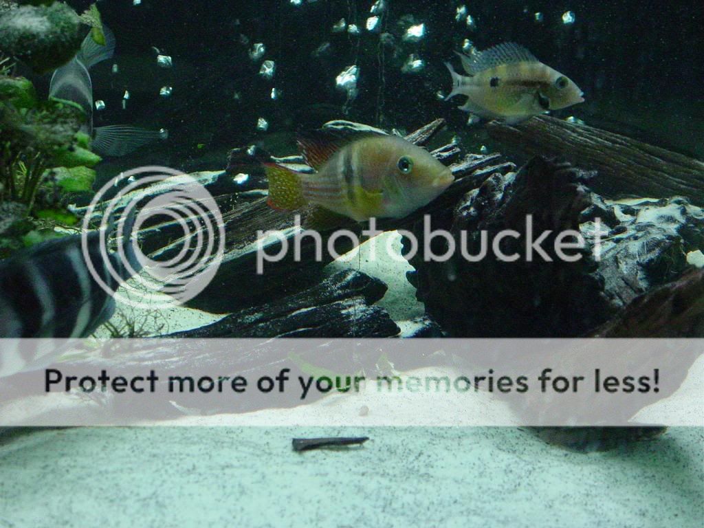 DSC07871.jpg