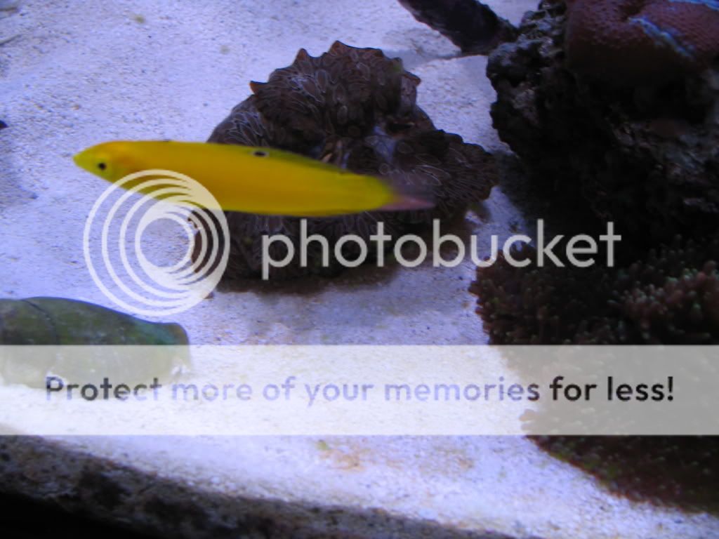 Picture669.jpg