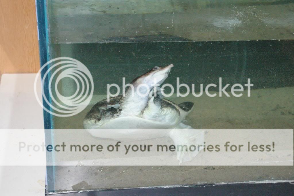 IMGP7804.jpg