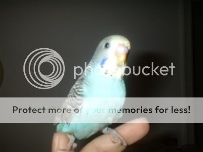 04284e7b.jpg