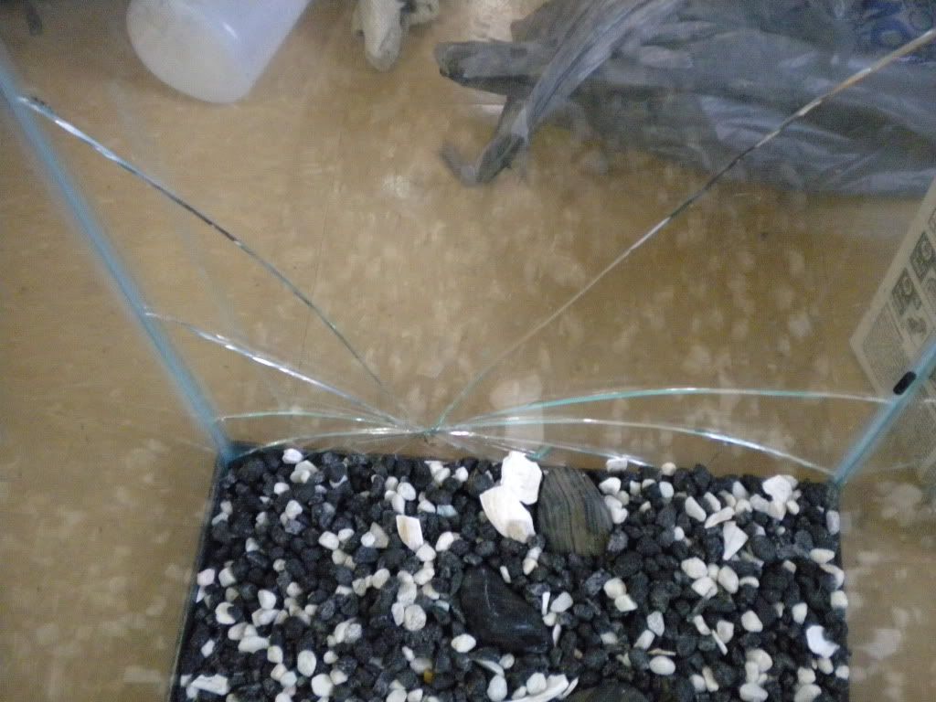 DSCN0319.jpg