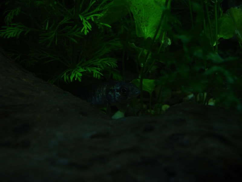 DSC01279.jpg