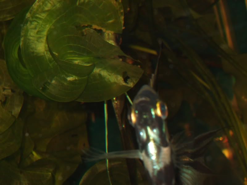 DSCF1058.jpg