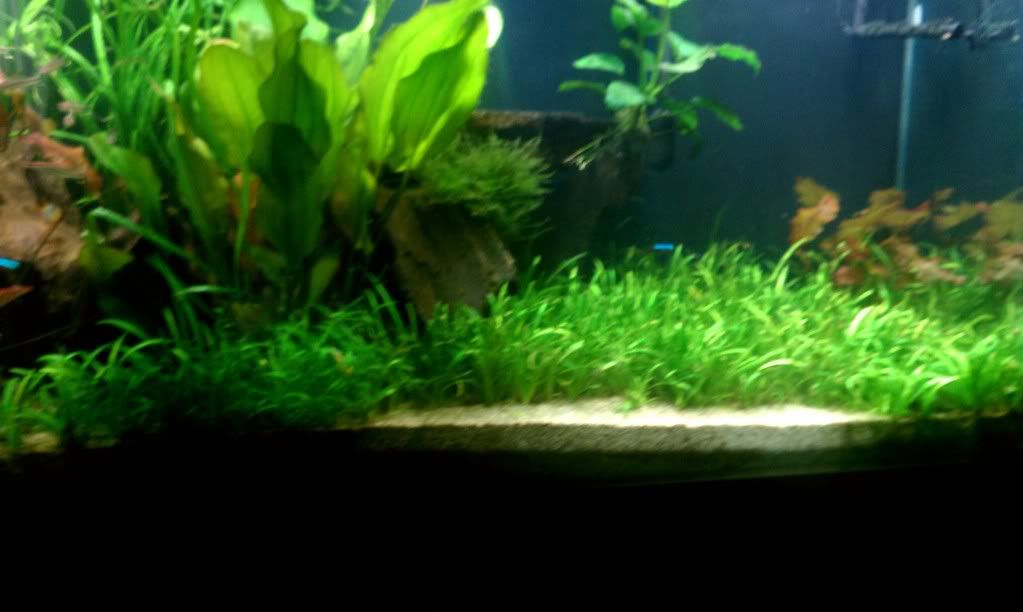 IMAG0893.jpg