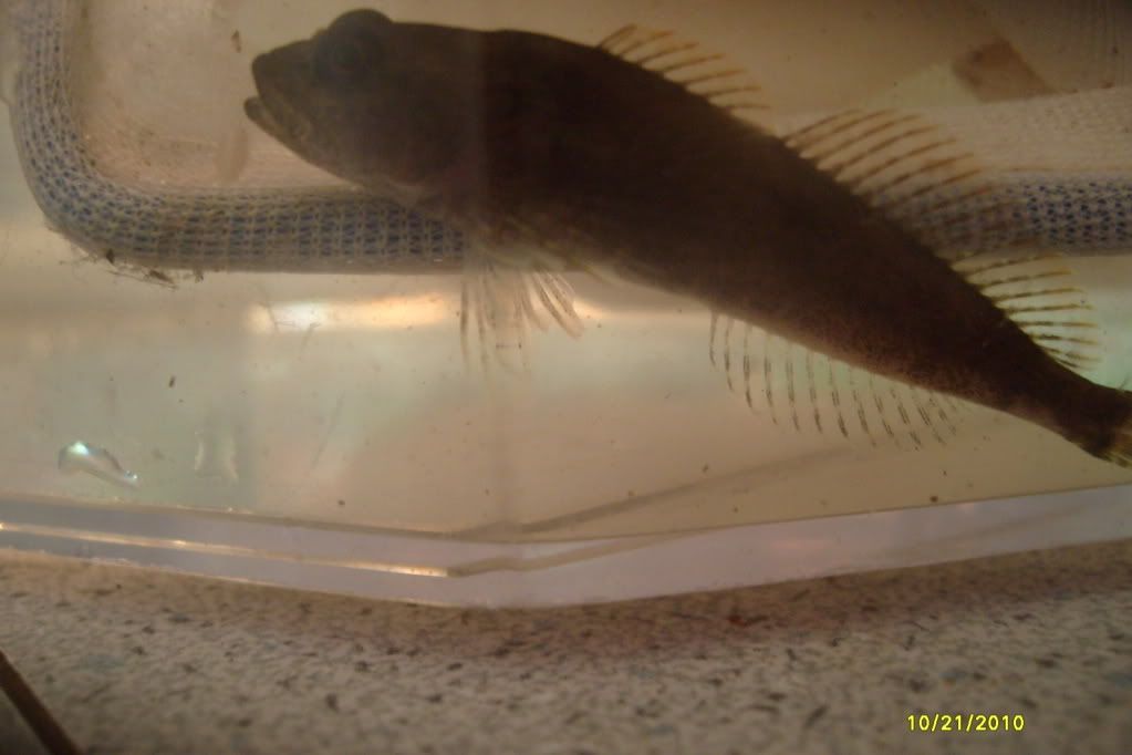 S7306654.jpg