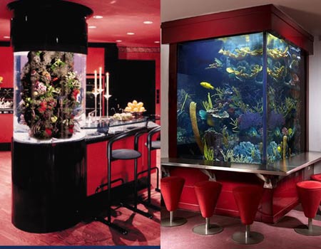 customized_aquariums.jpg