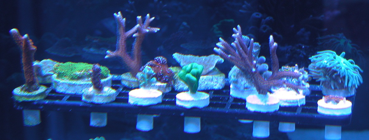 3918768392_428a5ef2ce_o.jpg