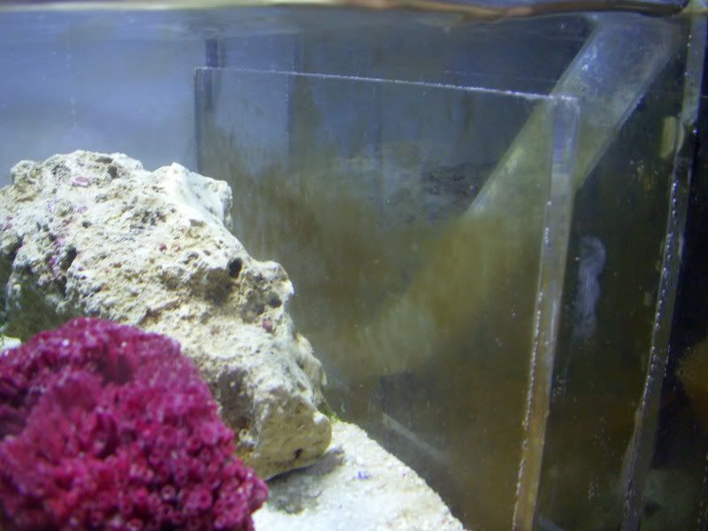 DSCN1125.jpg